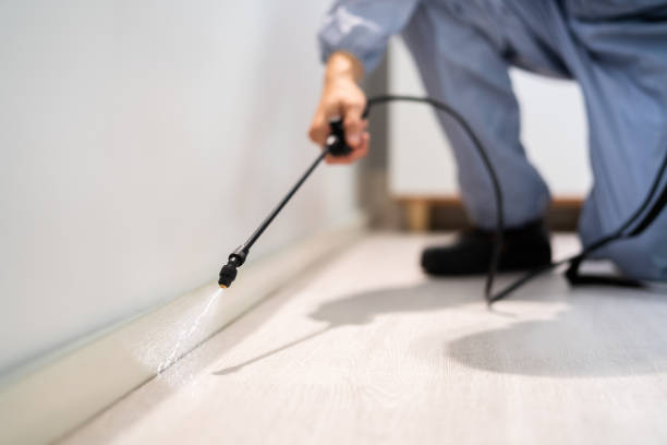 Licensed Termite Control service in Vinton, IA - Nex Pest Control