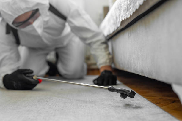 Professional Termite Control technician working in Vinton, IA