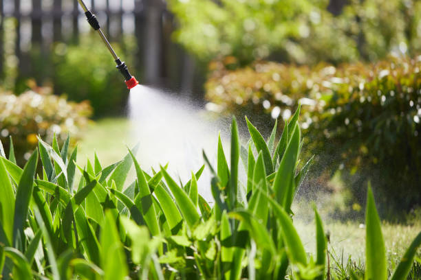 24/7 Emergency Termite Control experts in Vinton, IA