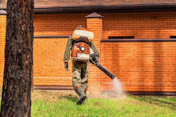 Trusted Termite Control service in Vinton, IA - Nex Pest Control